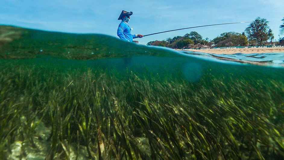 Sustainable blue economy vital for small countries and coastal populations